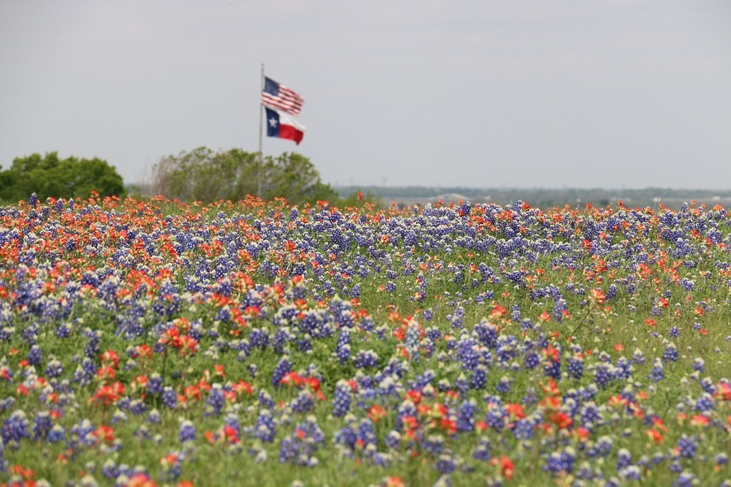 Texas’ economic freedom ranking remains high but drops to 3rd nationwide